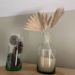 Hózhó Tempo - Sous Les Pins, écofriendly&slowlife Avec Sauna Casa de hóspedes