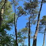Hózhó Tempo - Sous Les Pins, écofriendly&slowlife Avec Sauna Casa de hóspedes *