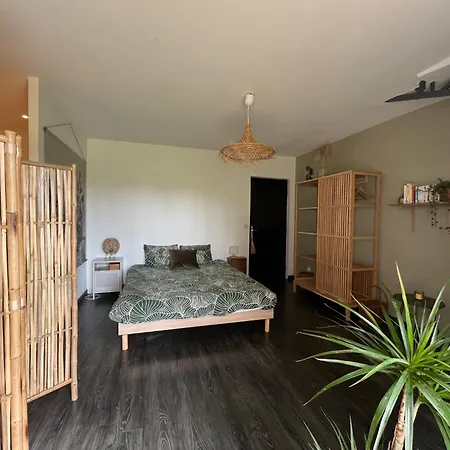 Hozho Tempo - Sous Les Pins, Ecofriendly & Slowlife Avec Sauna * Grezet-Cavagnan