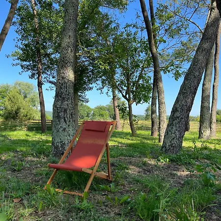 Hozho Tempo - Sous Les Pins, Ecofriendly & Slowlife Avec Sauna Guest house