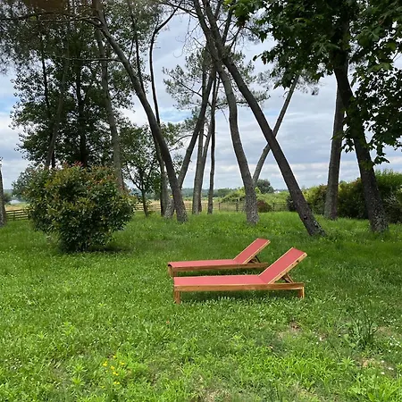 Hozho Tempo - Sous Les Pins, Ecofriendly & Slowlife Avec Sauna Guest house