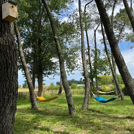 Hozho Tempo - Sous Les Pins, Ecofriendly & Slowlife Avec Petit-dejeuner Inclus * Grézet-Cavagnan