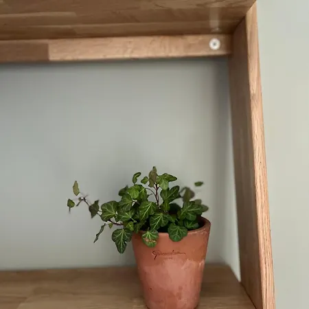 Hozho Tempo - Sous Les Pins, Ecofriendly & Slowlife Avec Sauna Guest house *