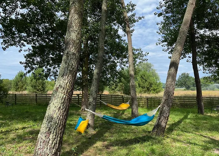 Hozho Tempo - Sous Les Pins, Ecofriendly & Slowlife Avec Sauna Guest house *